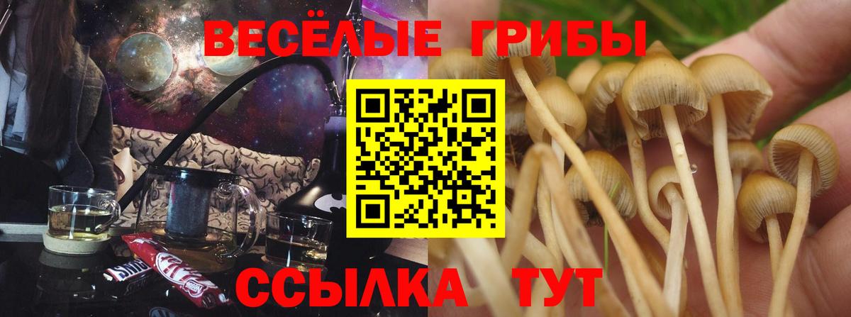 Псилоцибиновые грибы MAGIC MUSHROOMS Бахчисарай